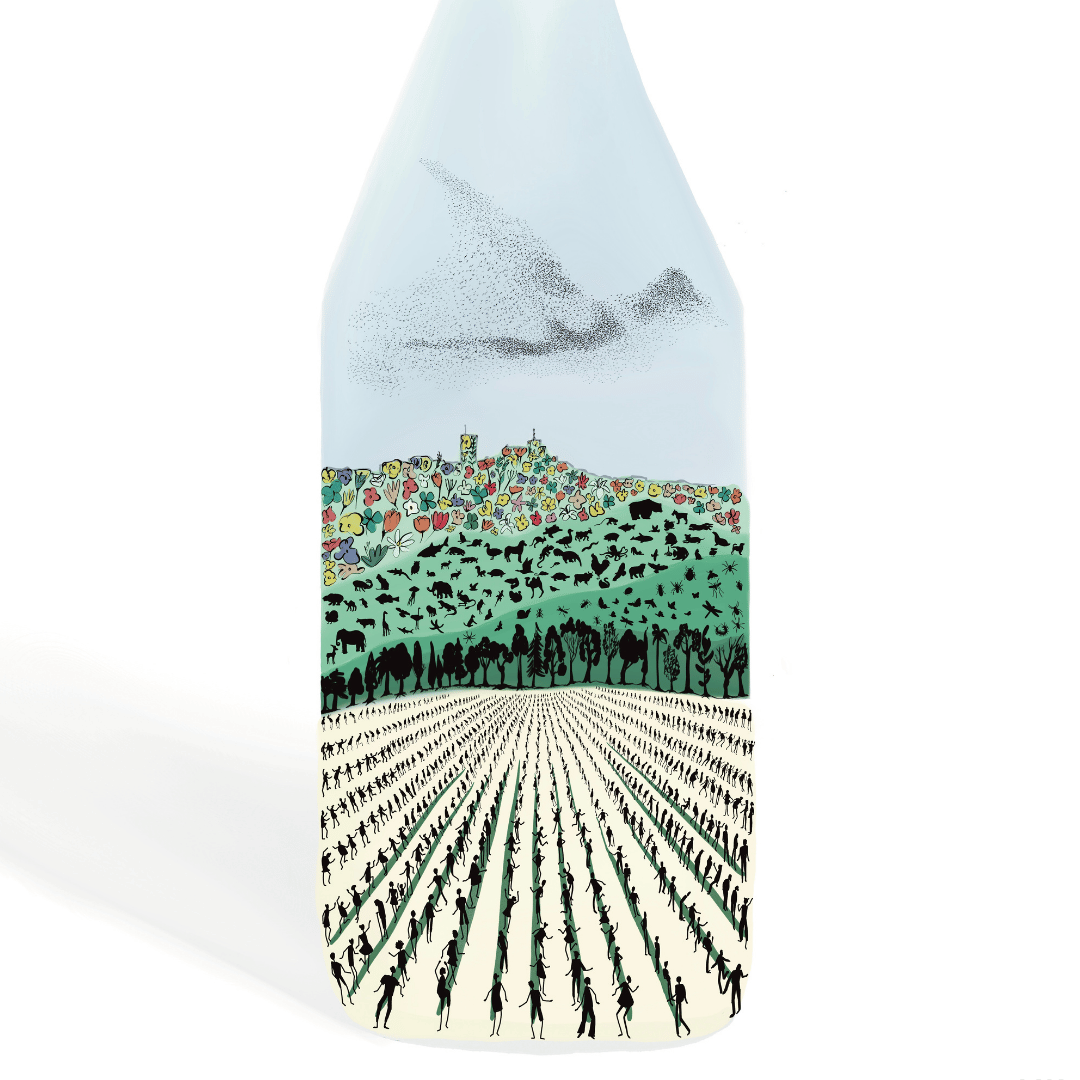 Le beaujolais en bouteille - La biodiversité – Image 3