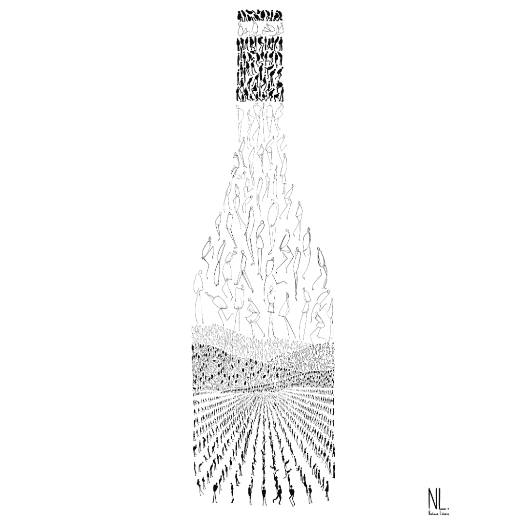 Le beaujolais en bouteille – Noir et blanc – Image 2