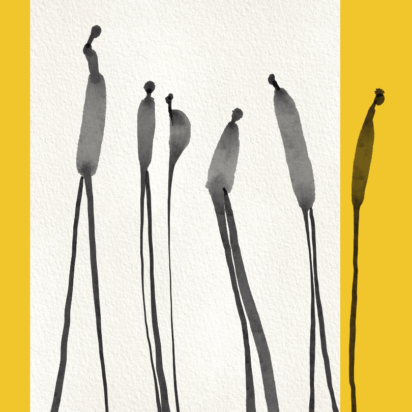 Conversation lumineuse – Image 2